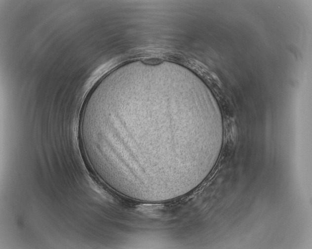 X0000112980051200909171346
