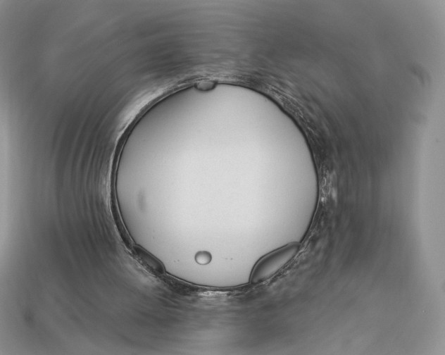 X0000112980052200909171346