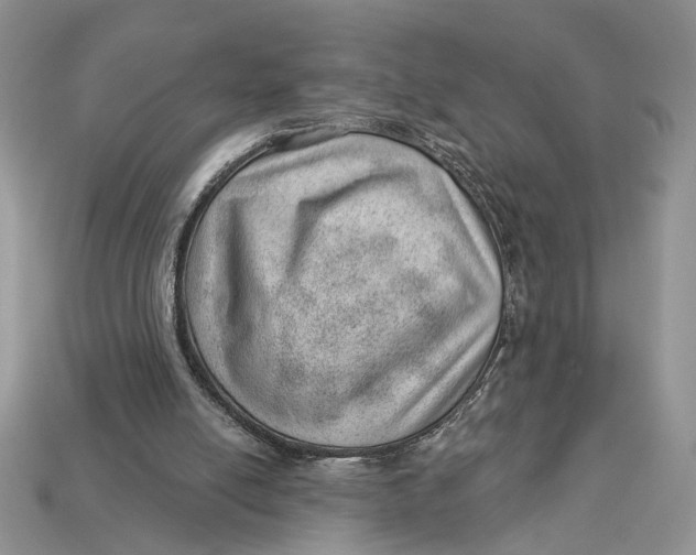 X0000112980054200909171347