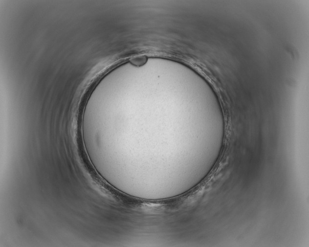 X0000112980055200909171347