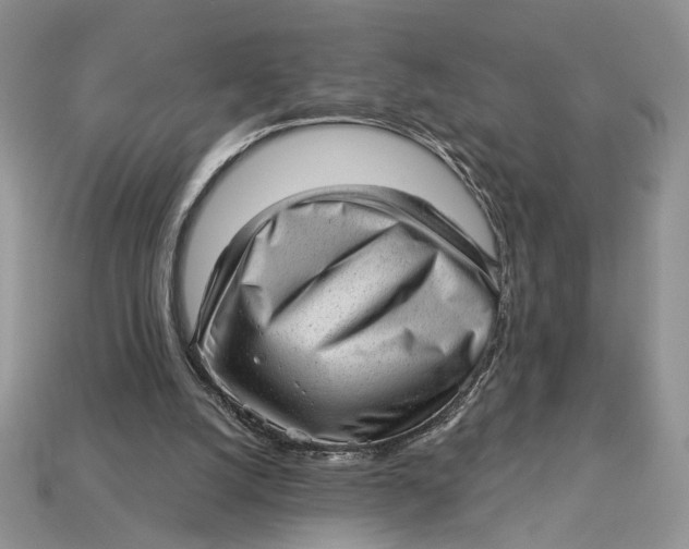 X0000112980056200909171347