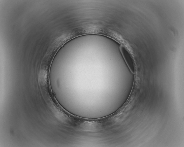 X0000112980057200909171347