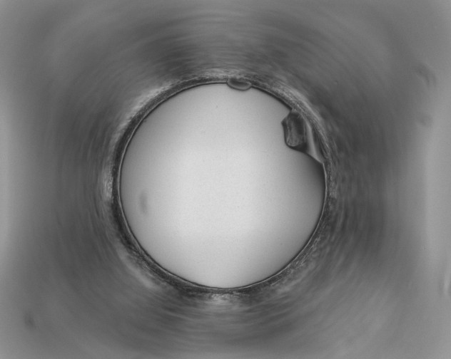 X0000112980060200909171347