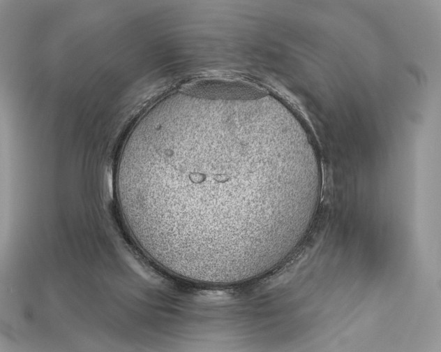 X0000112980061200909171347