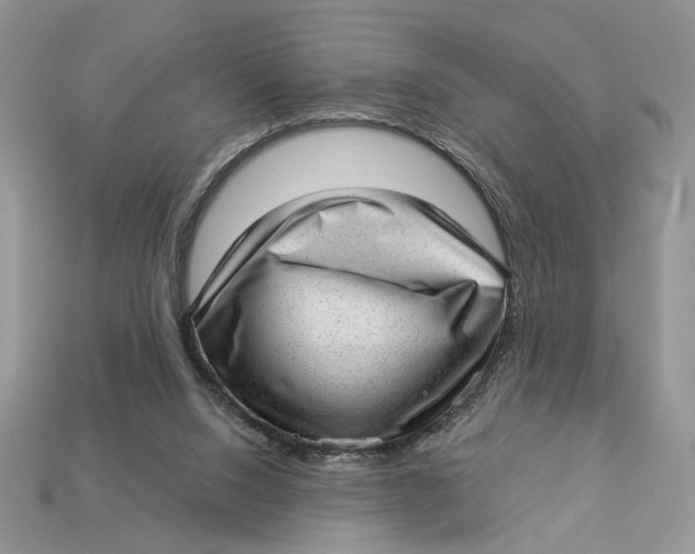 X0000112980064200909171347