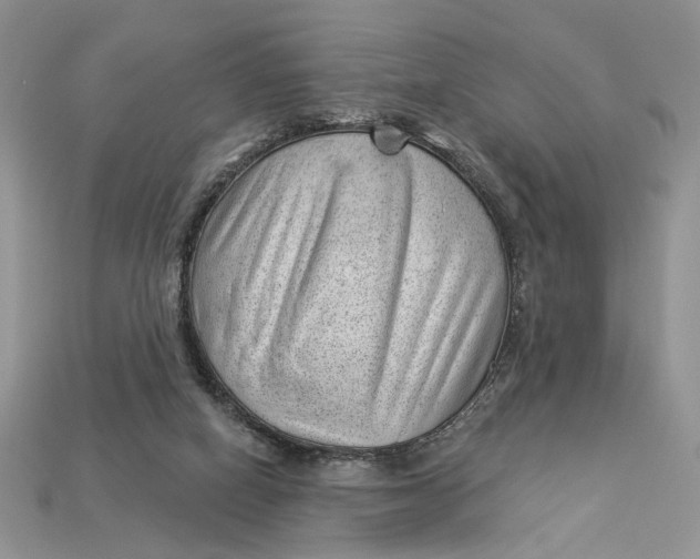 X0000112980066200909171347