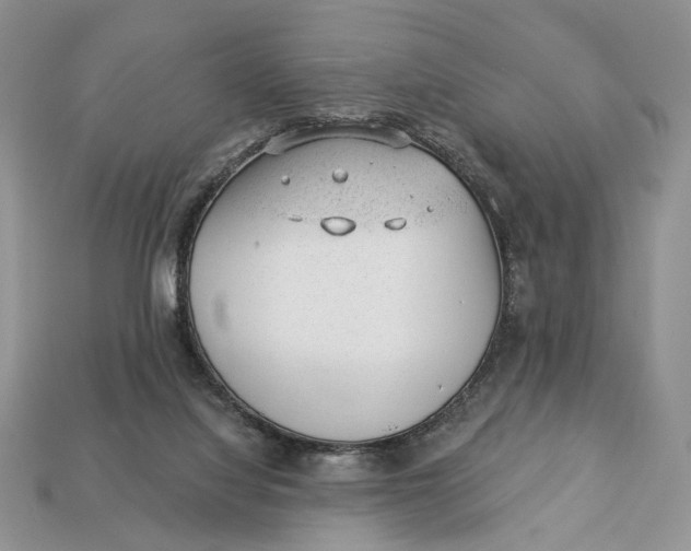 X0000112980068200909171347