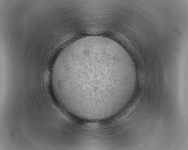 X0000112980071200909171347