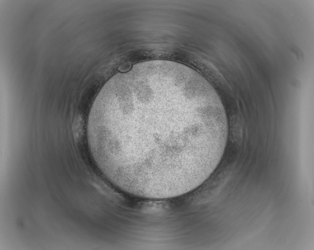 X0000112980077200909171347