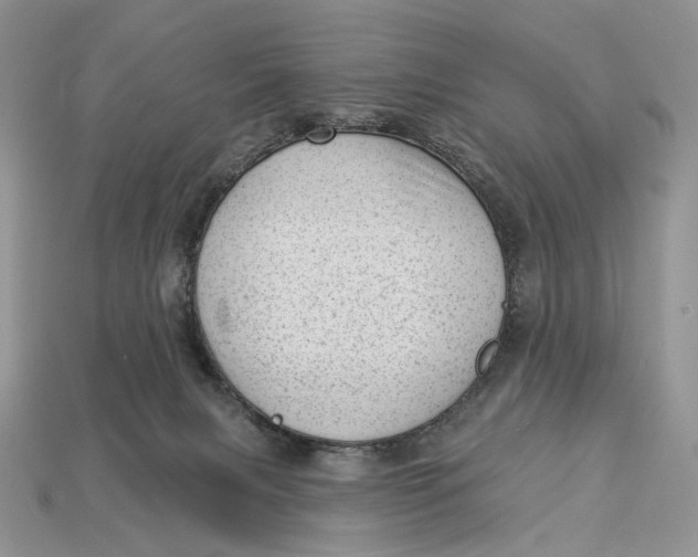 X0000112980079200909171347