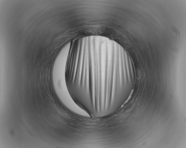 X0000112980080200909171347