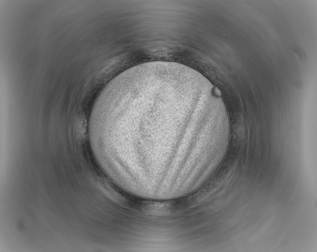 X0000112980081200909171347