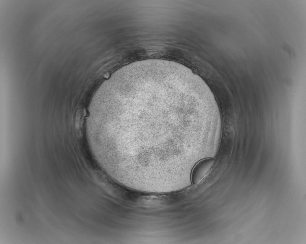 X0000112980082200909171347