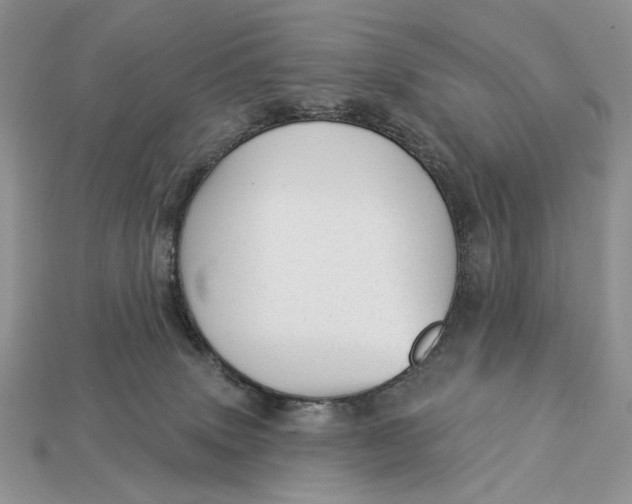 X0000112980083200909171347