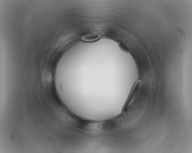 X0000112980084200909171347