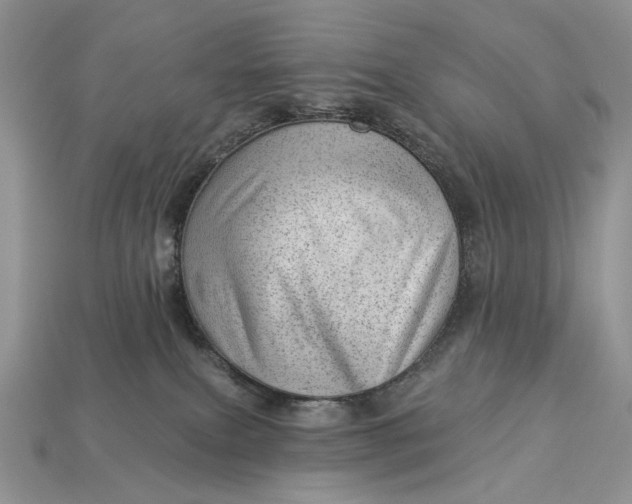 X0000112980087200909171347
