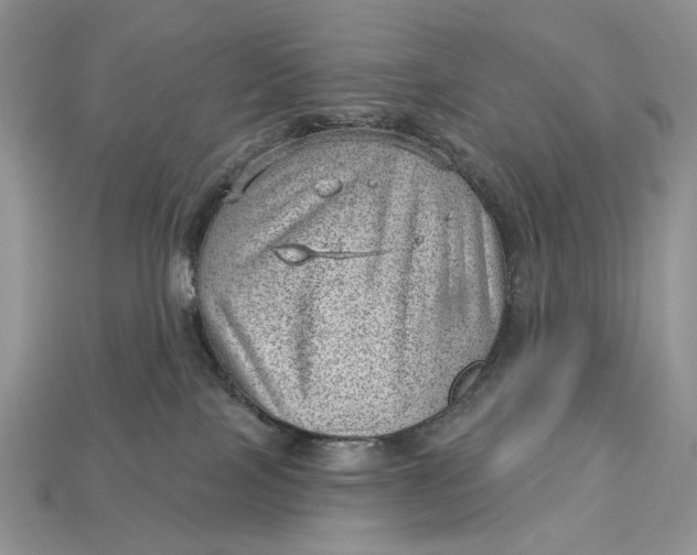 X0000112980089200909171347