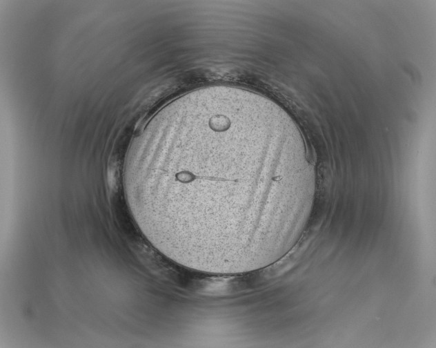 X0000112980090200909171347