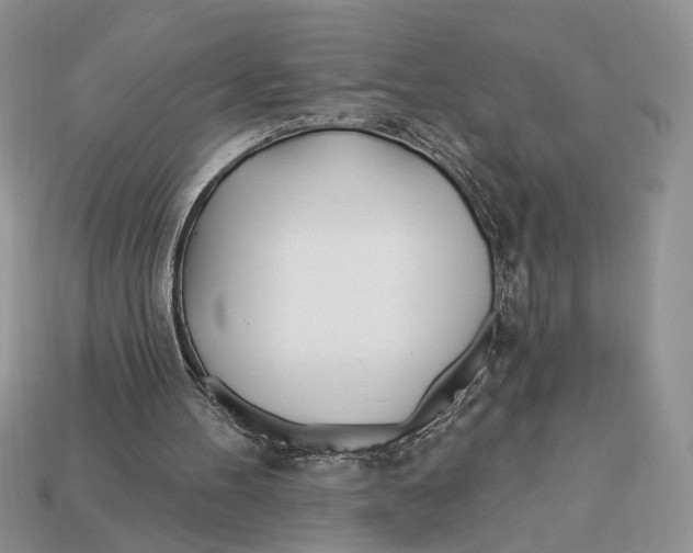 X0000112980100200909171346