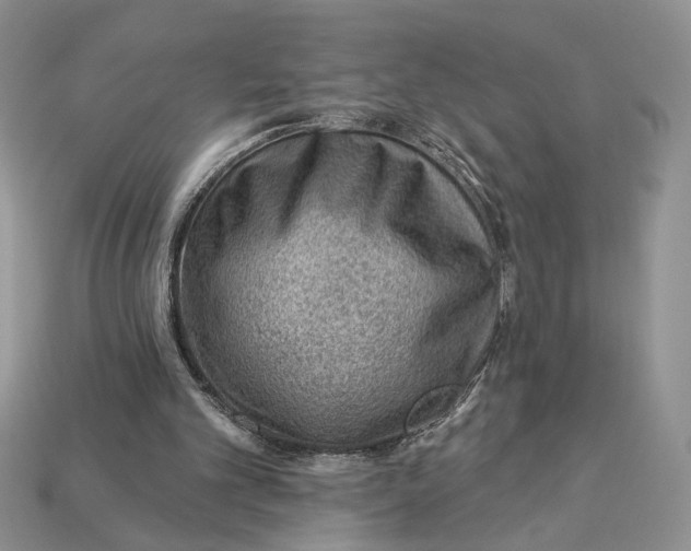 X0000112980101200909171346
