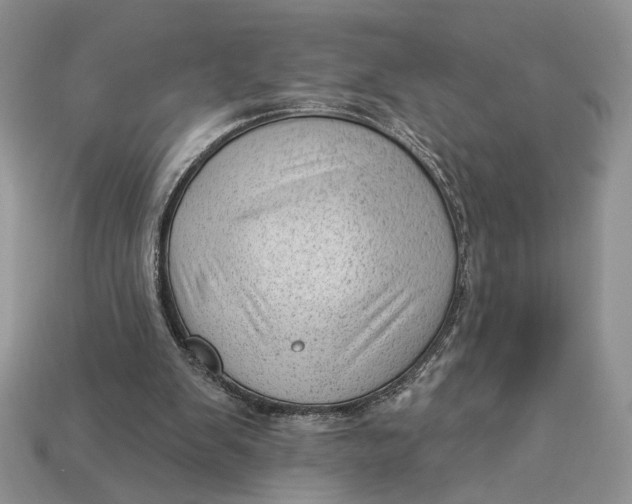 X0000112980103200909171346