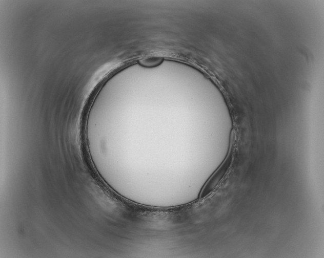 X0000112980104200909171346