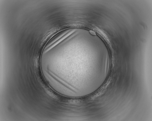 X0000112980105200909171346