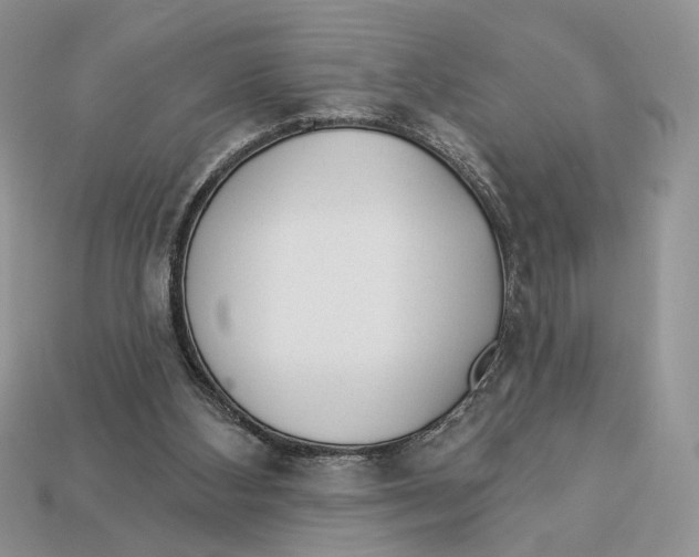 X0000112980108200909171346