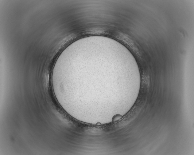 X0000112980110200909171346