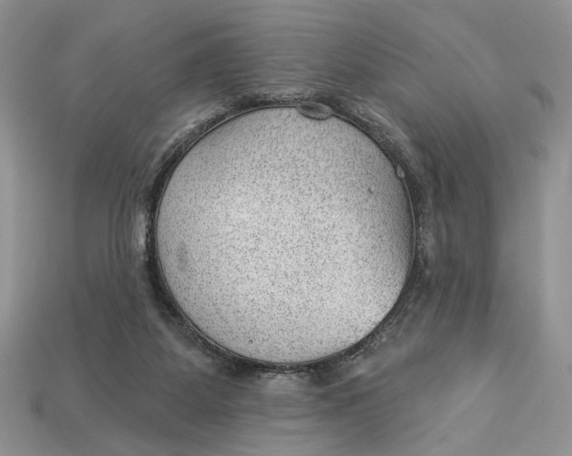 X0000112980115200909171346