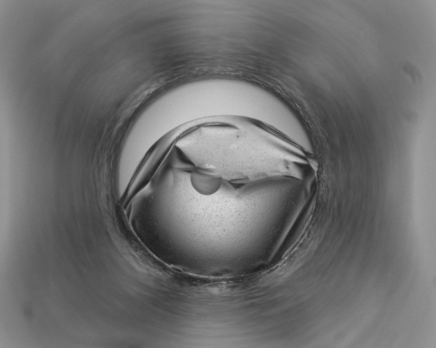 X0000112980116200909171346