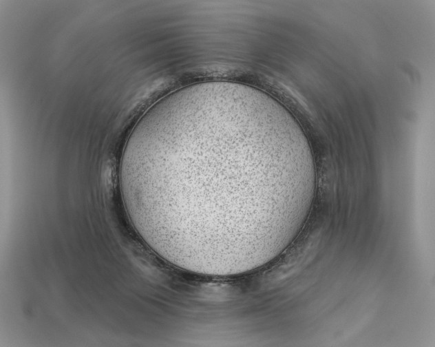X0000112980119200909171346