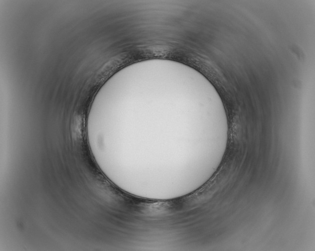 X0000112980122200909171346