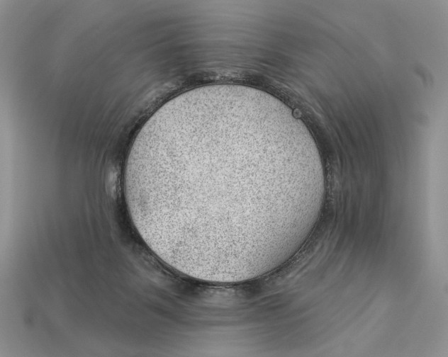 X0000112980123200909171346