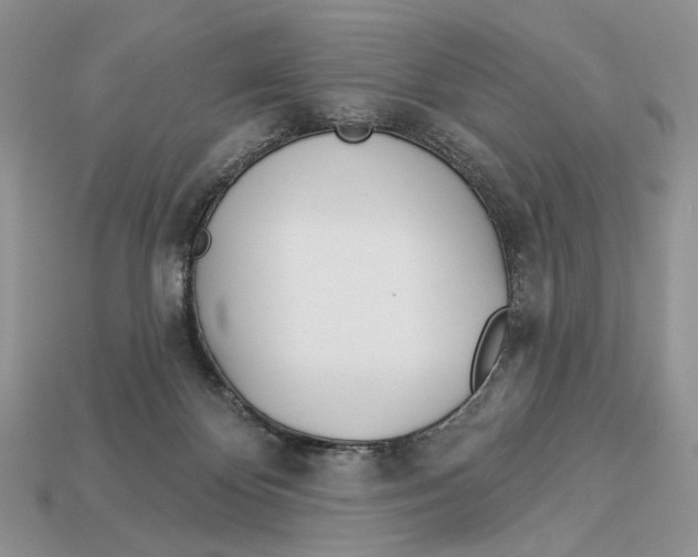 X0000112980124200909171346