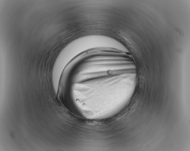 X0000112980125200909171346