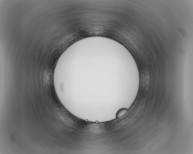 X0000112980126200909171346