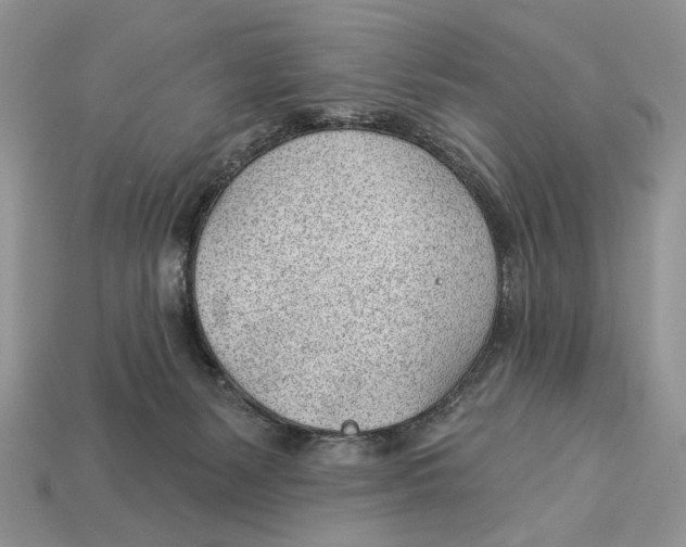 X0000112980127200909171346