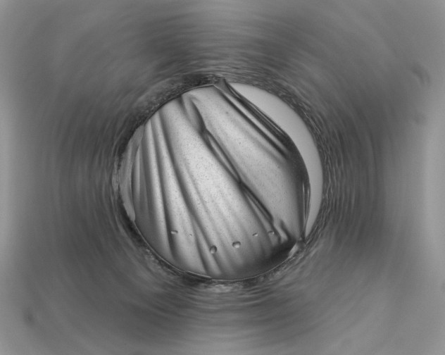 X0000112980129200909171346