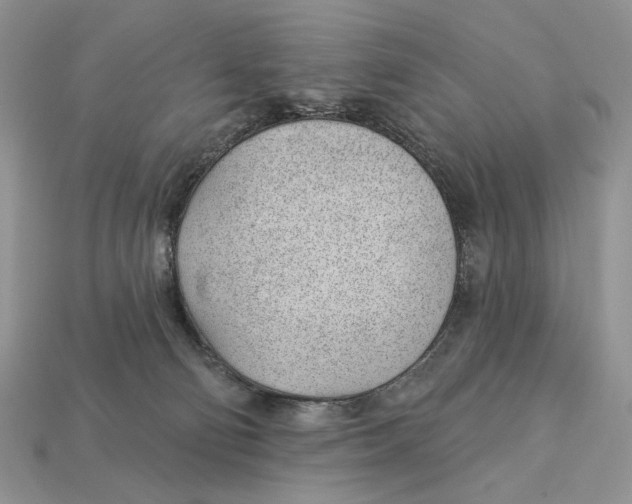 X0000112980130200909171346