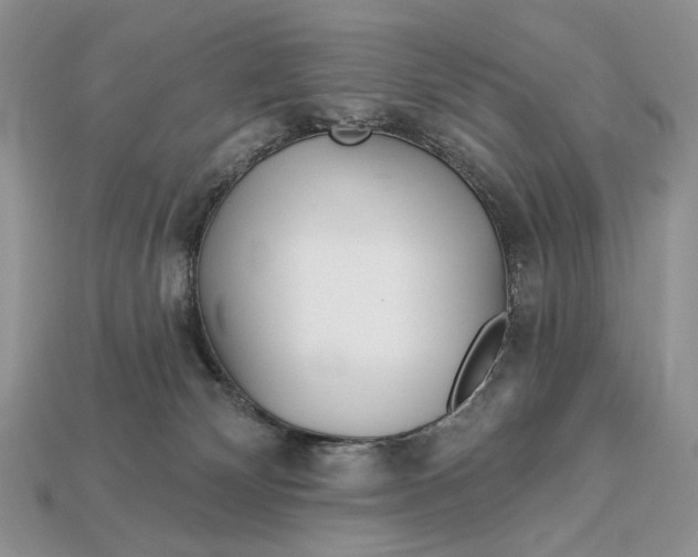 X0000112980132200909171346