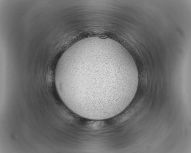 X0000112980135200909171346