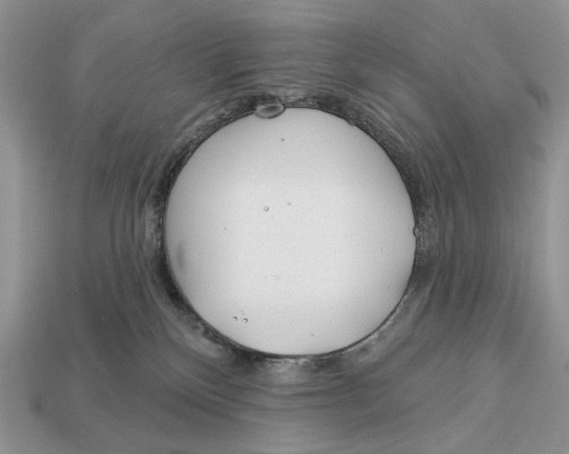 X0000112980136200909171346