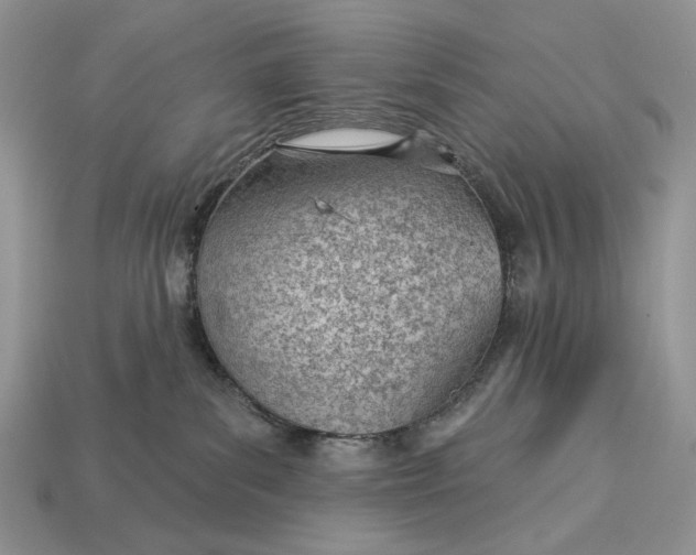 X0000112980139200909171346