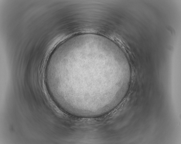 X0000112980145200909171345