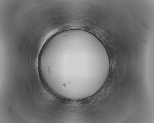 X0000112980148200909171345