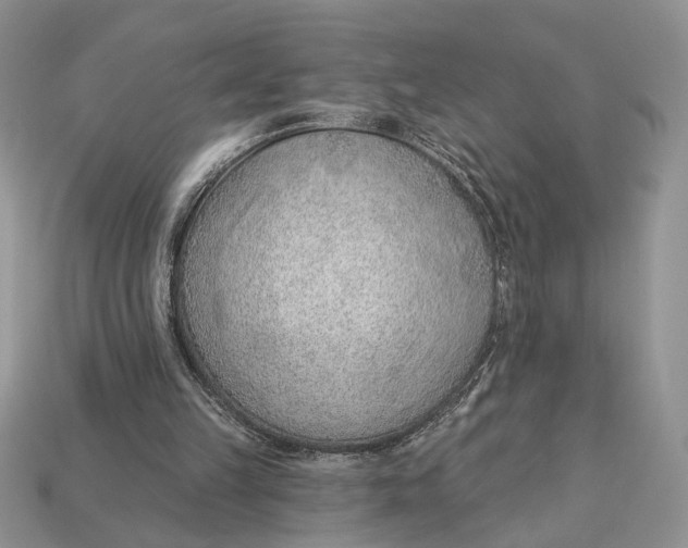 X0000112980149200909171345