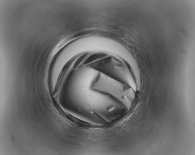 X0000112980150200909171345