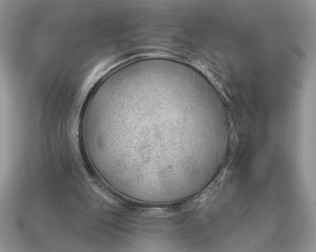 X0000112980151200909171345