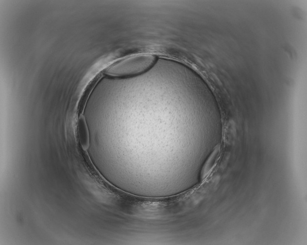 X0000112980152200909171345